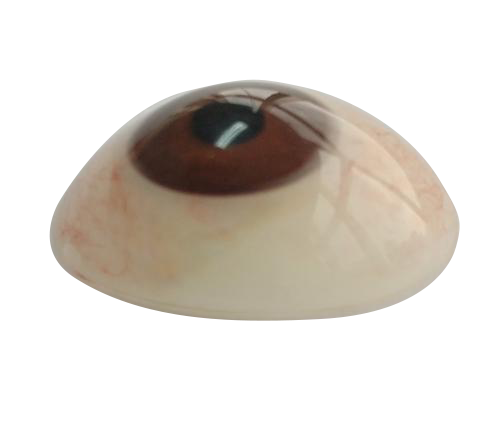 阿拉善盟微雕义眼定制